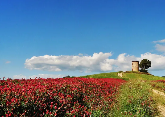 Lejlighed Con Giardino By Interhome Sassetta
